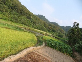 Dong Yue Mountain Temple