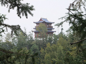 Botanical Gardens & Ding Park Adventures