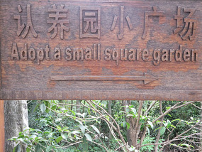 Botanical Gardens & Ding Park Adventures