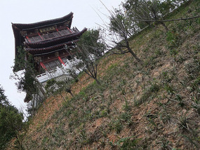 Botanical Gardens & Ding Park Adventures
