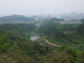 Botanical Gardens & Ding Park Adventures