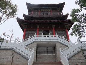 Botanical Gardens & Ding Park Adventures