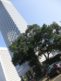 Hong Kong Island & Victoria Peak