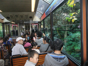 Hong Kong Island & Victoria Peak