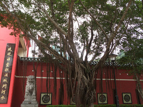 New Territories & Walled Park Adventure