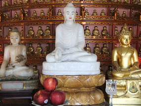 New Territories & Walled Park Adventure