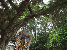 New Territories & Walled Park Adventure