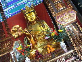 New Territories & Walled Park Adventure