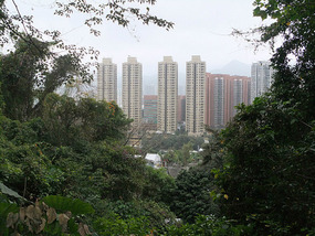 New Territories & Walled Park Adventure