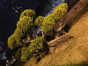 New Territories & Walled Park Adventure