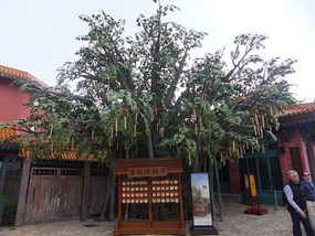 Lantau Island Adventure