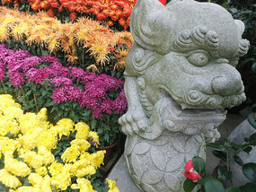 Lantau Island Adventure
