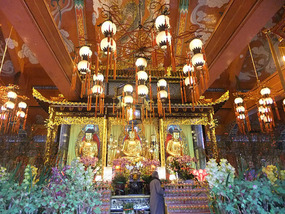Lantau Island Adventure