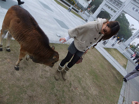 Lantau Island Adventure
