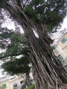 A-Ma Temple & Barra Hill History Adventure