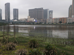 Cotai 