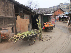 A Tomb Sweeping Easter On Bird Pagoda Hill