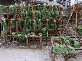 A Tomb Sweeping Easter On Bird Pagoda Hill