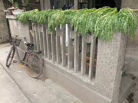 A Tomb Sweeping Easter On Bird Pagoda Hill