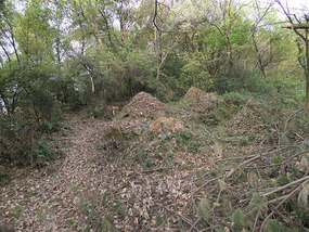A Tomb Sweeping Easter On Bird Pagoda Hill