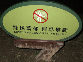 A Tomb Sweeping Easter On Bird Pagoda Hill