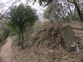 A Tomb Sweeping Easter On Bird Pagoda Hill
