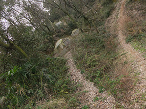 A Tomb Sweeping Easter On Bird Pagoda Hill
