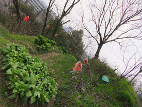 A Tomb Sweeping Easter On Bird Pagoda Hill