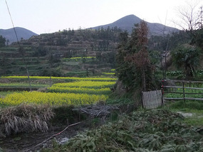 Moon Hill & Village Adventure