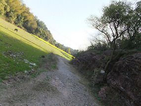 Moon Hill & Village Adventure