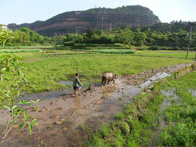 The Return Adventure From Moon Hill