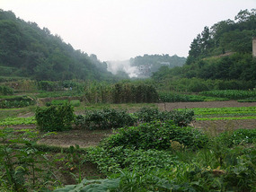 GuYan Temple Bike Adventures