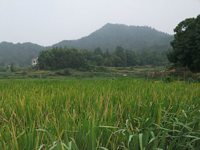 GuYan Temple Bike Adventures