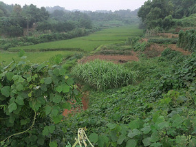 GuYan Temple Bike Adventures