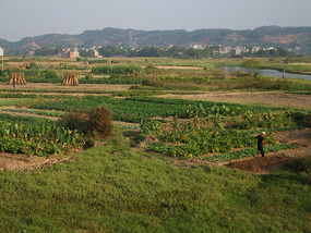 GuYan Temple Bike Adventures