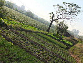 GuYan Temple Bike Adventures