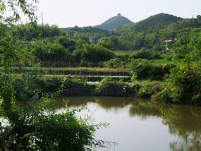 The Rice Field Temple Bike Adventures