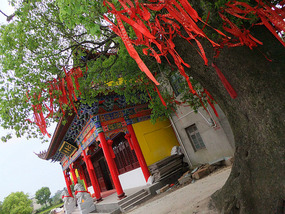 The Rice Field Temple Bike Adventures