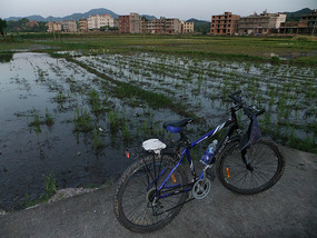 The Rice Field Temple Bike Adventures