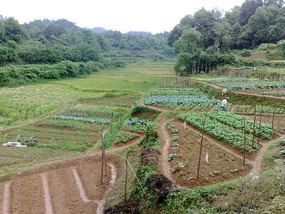 The Rice Field Temple Bike Adventures
