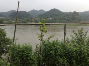 The Rice Field Temple Bike Adventures