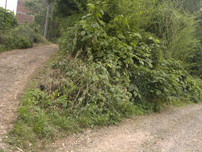 The Northern Villages Bike Adventures