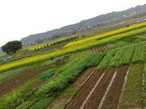The Northern Villages Bike Adventures