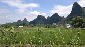 Yangshuo Dragon Bridge Ride
