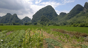 Yangshuo Dragon Bridge Ride