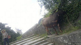 Yangshuo Dragon Bridge Ride