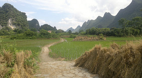 Yangshuo Dragon Bridge Ride