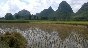 Yangshuo Dragon Bridge Ride