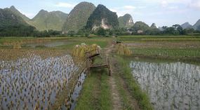 Yangshuo Dragon Bridge Ride