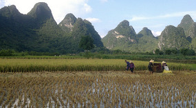 Yangshuo Dragon Bridge Ride
